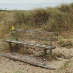 Sunflower bench