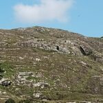 spot the eagle