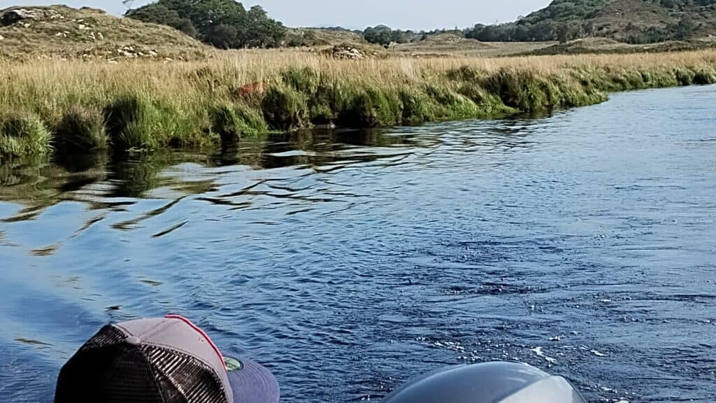 spot the deer