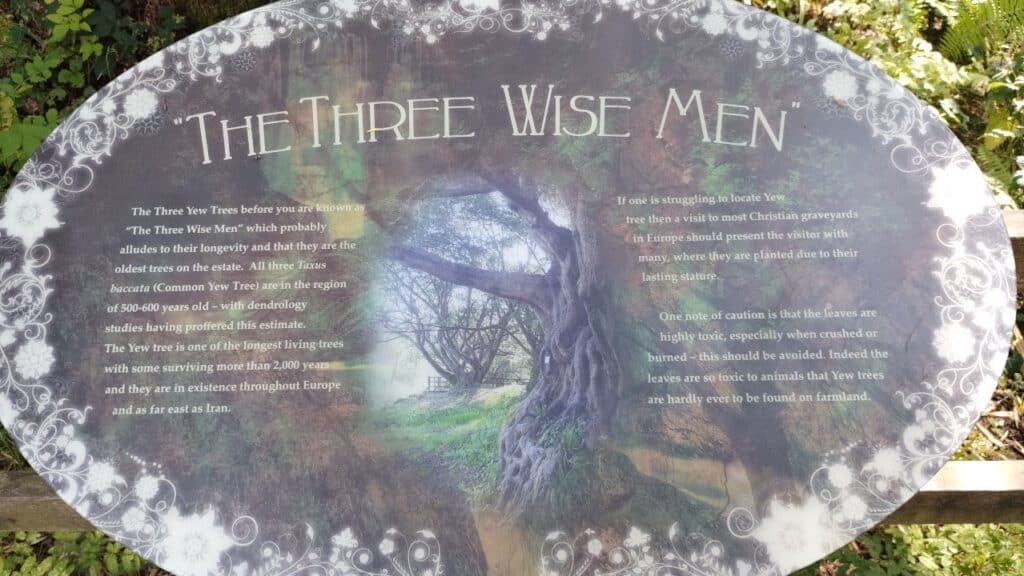 three wise men