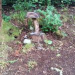 fairy swing