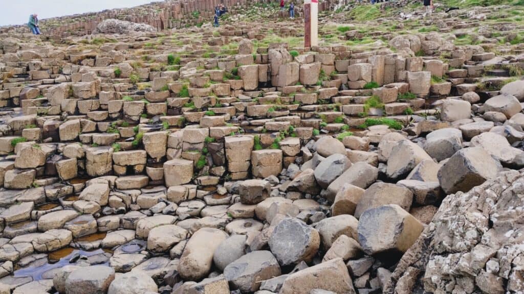 Causeway 4