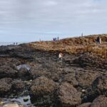 Causeway 2