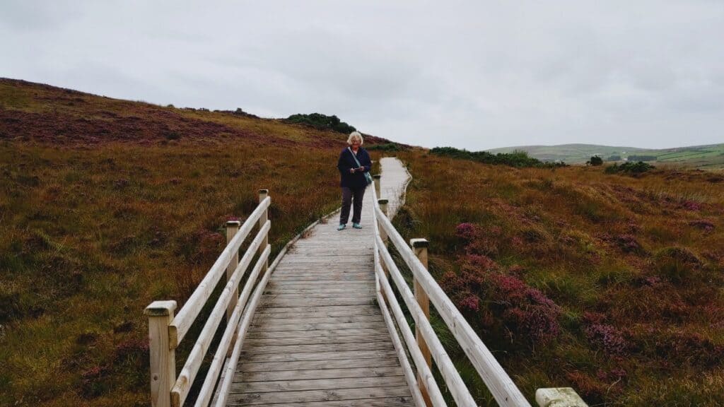 bog walk