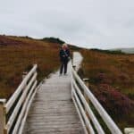 bog walk