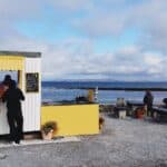Seal cafe stop
