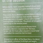 The Metal Man info