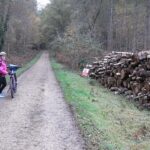 keep off the wood
