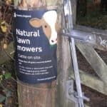 grass cutters notice